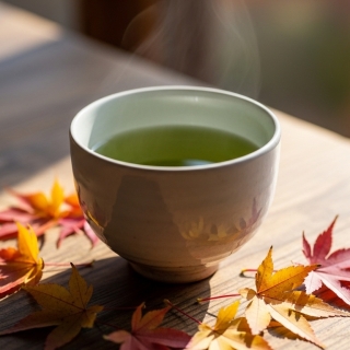 【三重テラス 部活動】日本茶部 第2回活動　番茶の魅力発見会 〜秋の味わいを楽しもう〜