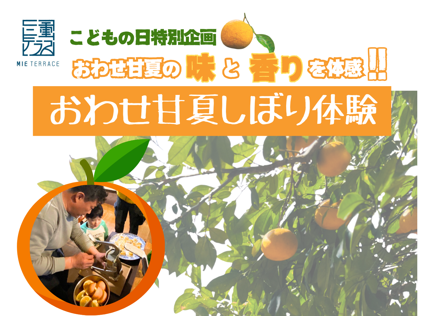 おわせ甘夏の「味」と「香り」を体験！～おわせ甘夏しぼり体験～