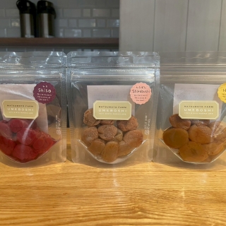 第3回活動「梅干しごはんで、ととのう夏」