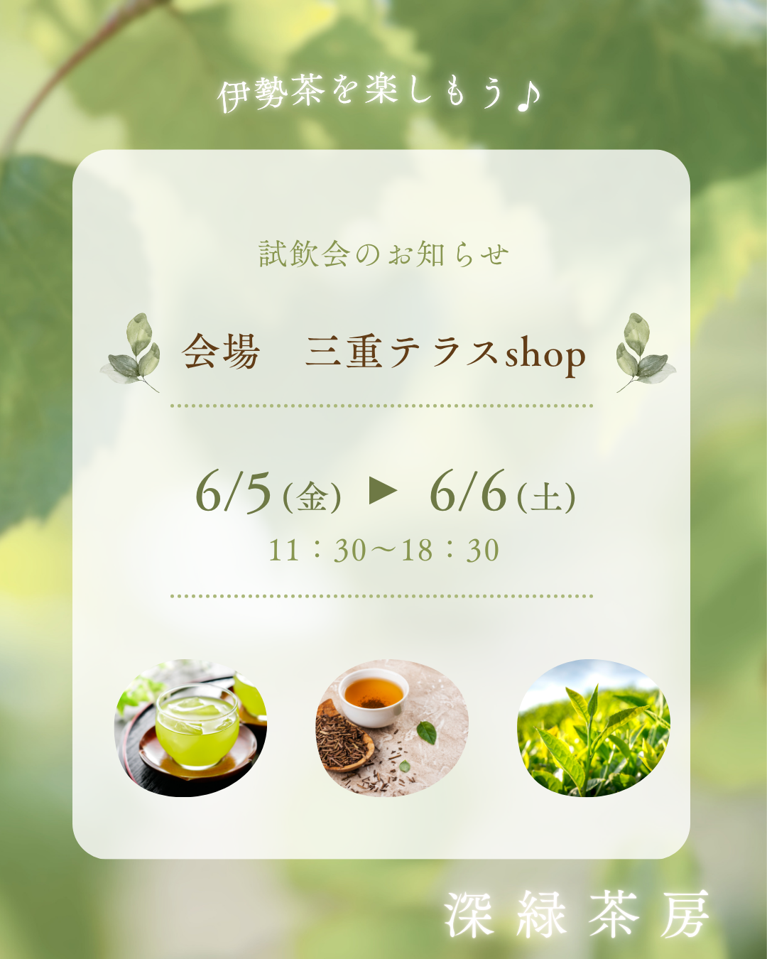 【対面販売】深緑茶房6月伊勢茶試飲会