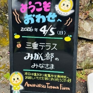 「尾鷲に甘夏収穫へ」ver.3-エシカル・アクション部 | 部活動