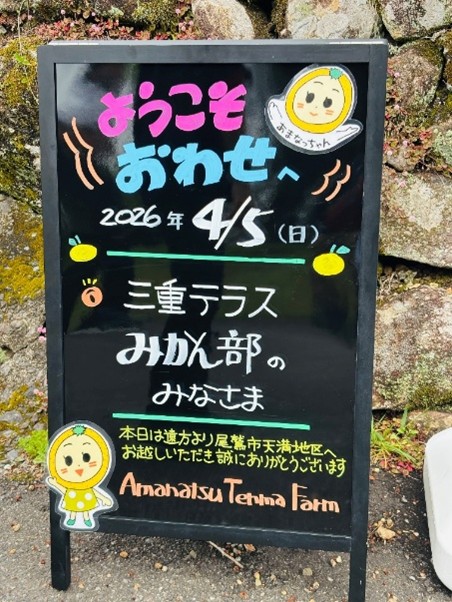 「尾鷲に甘夏収穫へ」ver.3 部活動